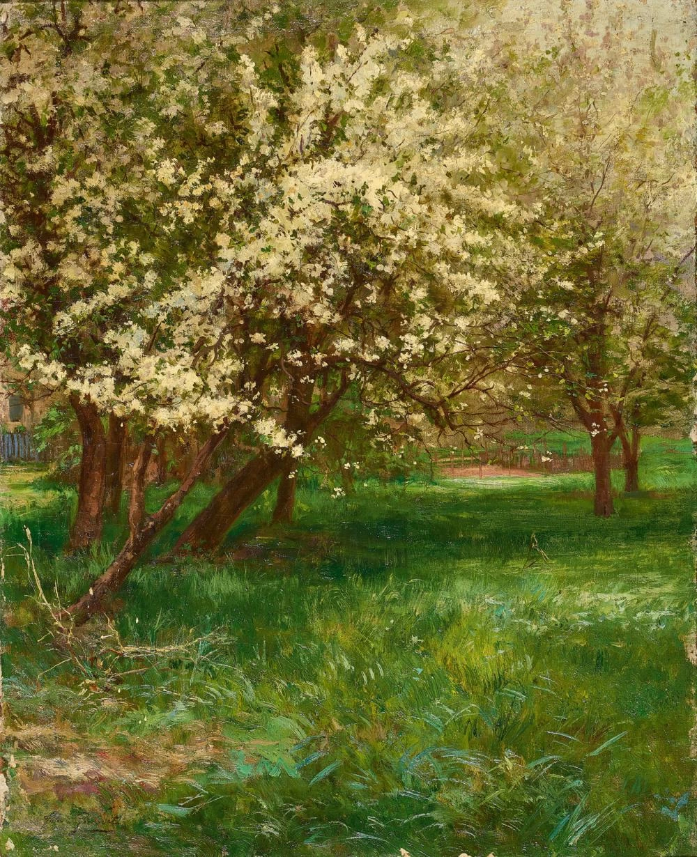 Alberi da frutto in fiore